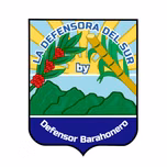 La Defensora del Sur