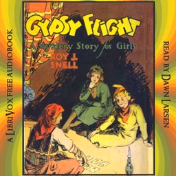Gypsy Flight