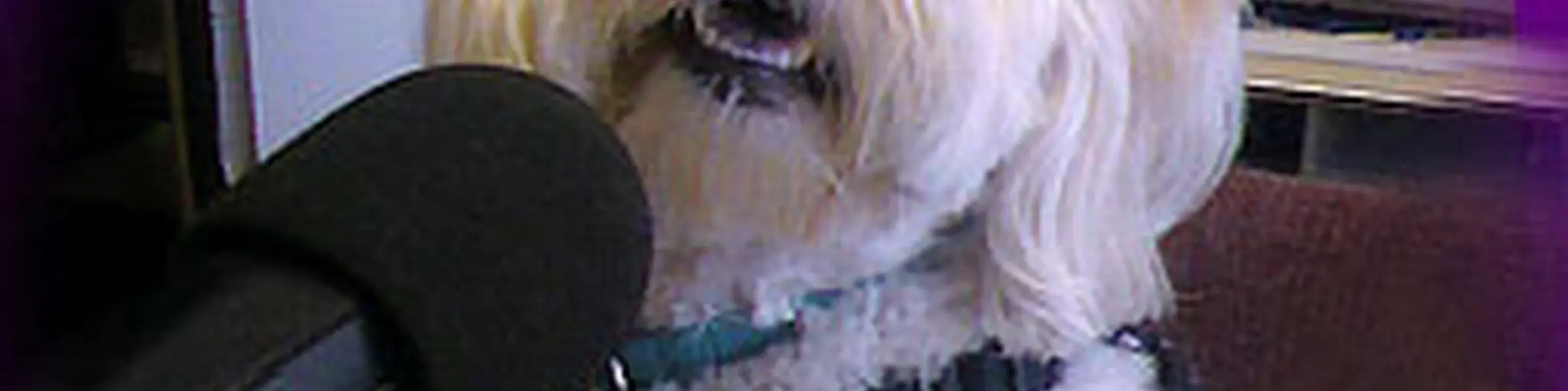 WPET