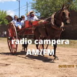 radio campera amfm