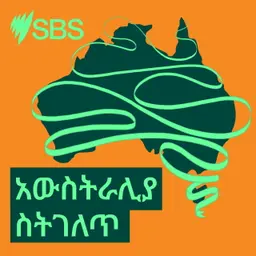 How to answer the 2026 Census English proficiency question | Bonus episode - የ2026 የእንግሊዝኛ ቋንቋ ክህሎት ጥያቄን እንደምን መመለስ እንዳለብዎ