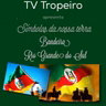 Símbolos de Nossa Terra - Bandeira do RS