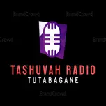 Sureheaven digital radio