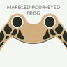 Marbled Four-Eyed Frog | Week of July 27th