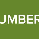 LA RUMBERA 97