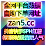全网平台涨数据工具站 如何利用抖音千川投流实现精准增长,提升销售和品牌曝光?