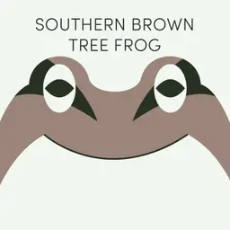 Southern Brown Tree Frog | Week of July 13th