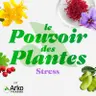 Le Stress