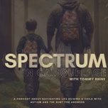 Spectrum in Camouflage