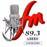 RADIO FM ARIES 893