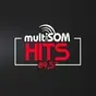 Multisom Hits 89.5