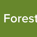 Enaira Forest Night