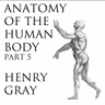 59 - Surface Markings of Lower Extremity