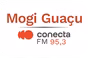 Rádio Conecta 95.3 FM