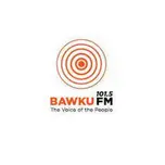 Bawku FM 101 5