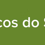 Classicos do Samba