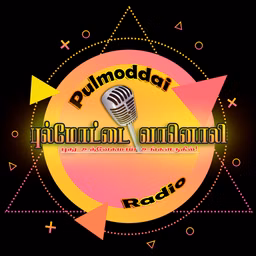 Pulmoddai Radio