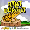 Rana Dorada de Panamá: el animal nacional que desapareció