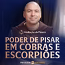Poder de pisar em cobras e escorpiões | (Lucas 10, 17-24) #2852 | Meditação da Palavra