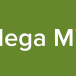 Mega Mix