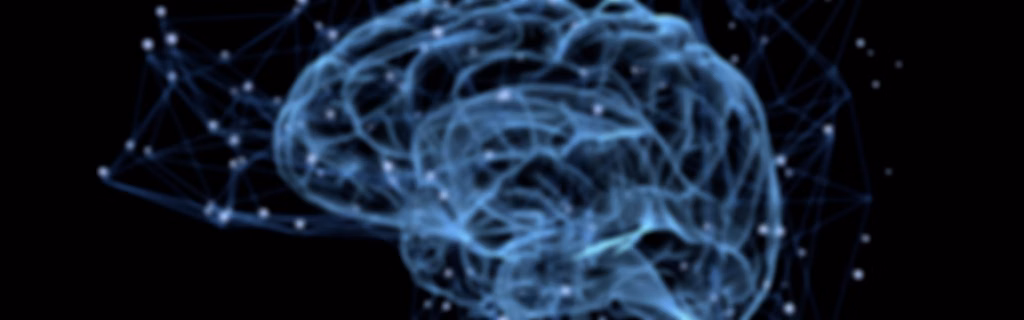 CEREBRO Y NEUROCIENCIA