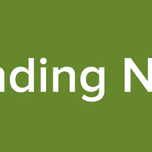 Trending News