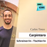 100 Carpintero - Schreiner/in - Tischler/in