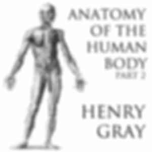 Anatomy of the Human Body, Part 2 (Gray's Anatomy) by Henry Gray (1827 - 1861)