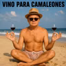El vino de Sudáfrica y la leyenda de Rodríguez - Imprescindibles Verano