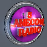 ANECOM RADIO