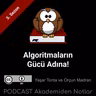 Akademiden Notlar 142: Algoritmaların Gücü Adına!