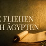 Sie wollen Gottes Antwort, aber nicht seinen Weg | Jeremia 40-43 · Tag 231