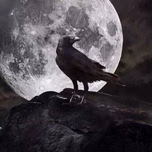 Ravenz Radio