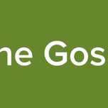 1One Gospel