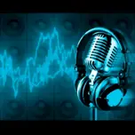 Radio pantanal