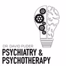 Postpartum Psychosis: Symptoms, Warning Signs, Risk Assessment, and Treatment with Dr. Furey and Dr. Puder