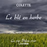 Chapitre 17