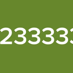 1233333