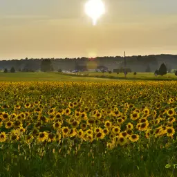 Encouragement and Prayer: Perfect In Speech! (7/31/26)
