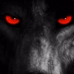 LECK LOBO