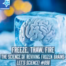 Freeze, Thaw, Fire: The Science of Reviving Frozen Brains