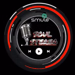 SOUL STEREO