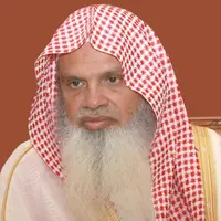 Ali Al-Hudhaifi - Hafs on the authority of Asim
