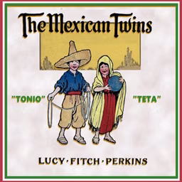 Mexican Twins