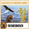 #82: De Biesbosch