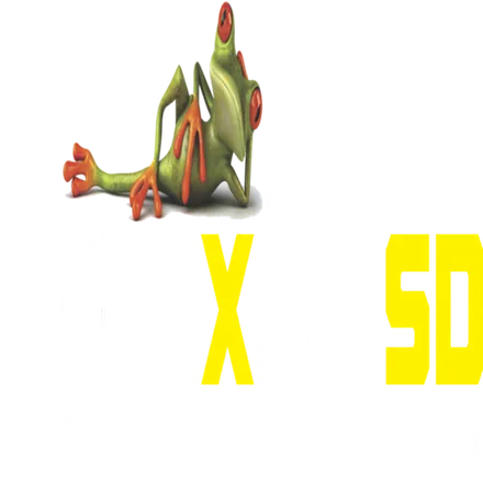 Conexao SD -FM
