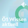 Neuer IWM-Direktor im Portrait, Römische Töpferwerkstatt