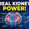 Kidneys Aren't Just Plumbing: Here's What They Really Do