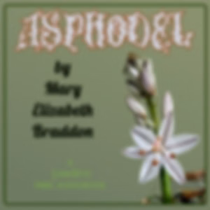 Asphodel by Mary Elizabeth Braddon (1835 - 1915)