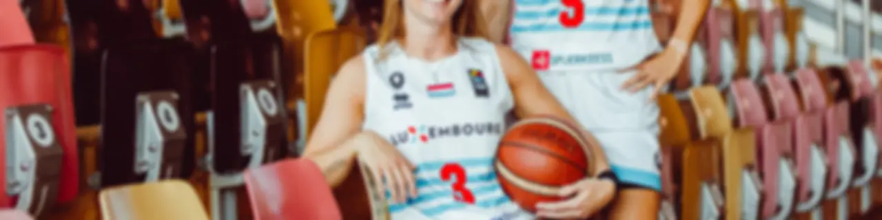 Coachseet